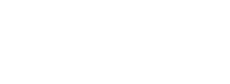 Imara Leadership Initiative